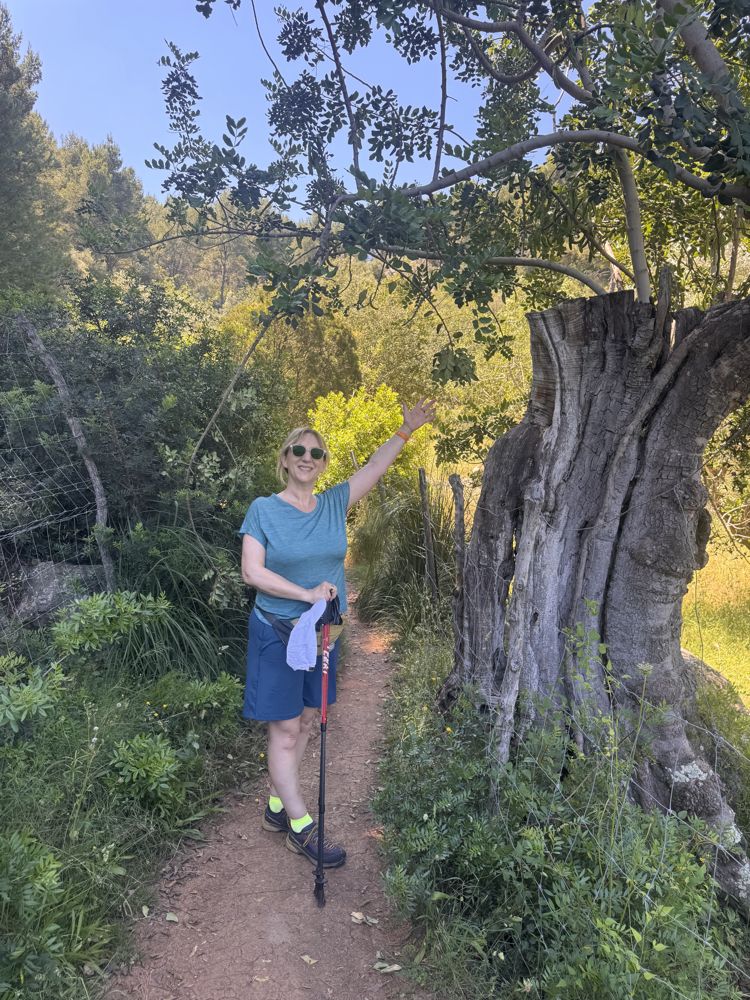 Petra winkt auf einem Wanderweg neben einem alten Olivenbaum